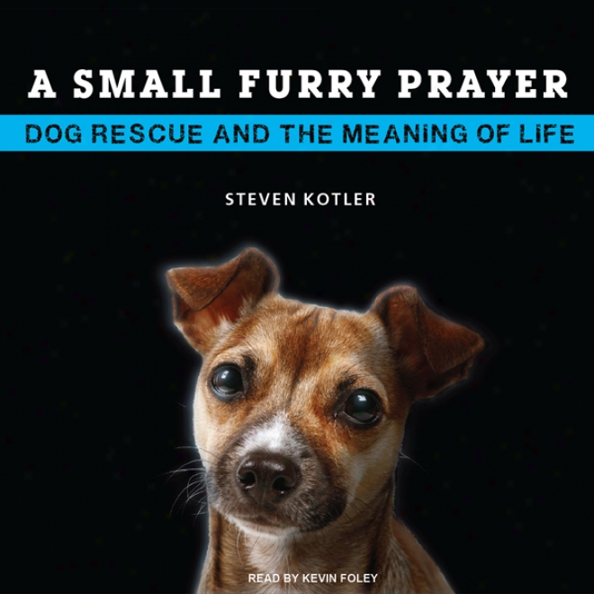 A Small Furry Prayer: Dog Rescue And The Intention Of Life (unabridged)