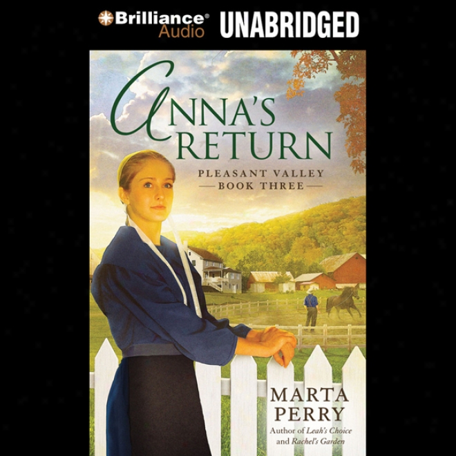 Anna's Return: Pleasant Valley, Book 3