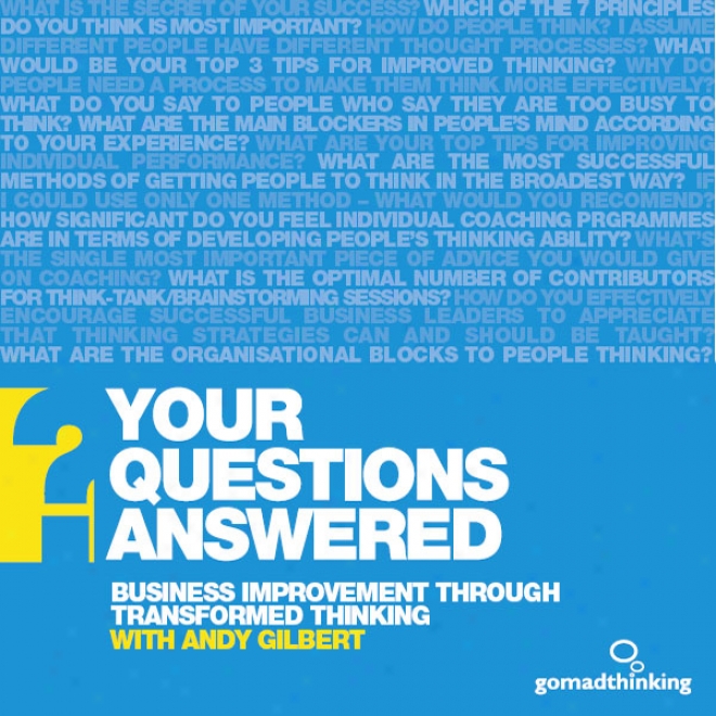 Business Improvement Through Transformed Thinking: Your Questions Answered (unabridged)