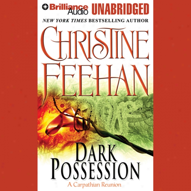 Dark Possession: Dark Series, Book 18 (unabridged)