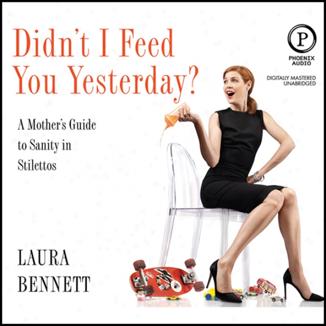 Didn't I Feed You Yesterday?: A Mother's Guide To Saneness In Stilttos (unabridged)