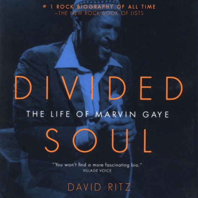 Divided Soul: The Life Of Marvin Gaye