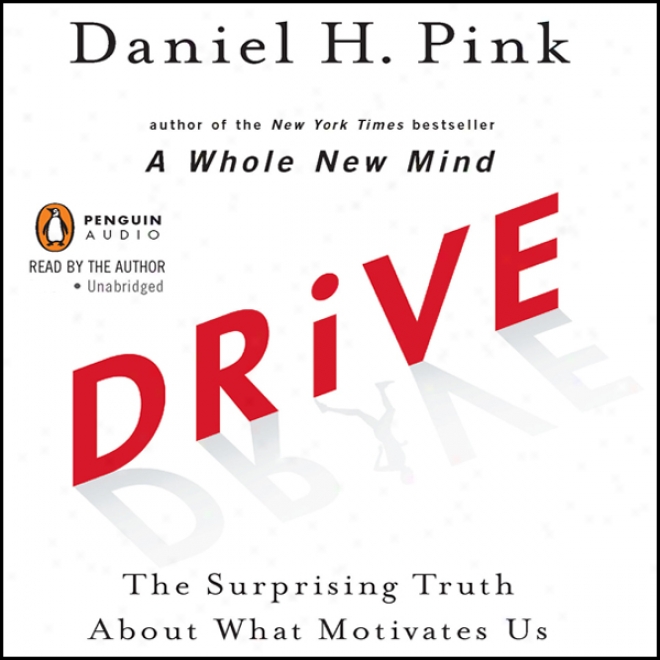 Drive: The Surprising Truth About What Motivates Us (unabridged)