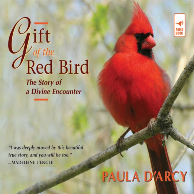 Gift Of The Red Bird: The Stroy Of A Divine Encounter (unabridged)