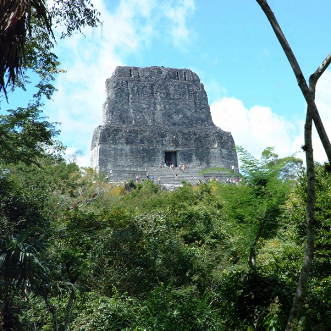 Guatemala's Tikal National Park - Animals And Plants: Audio Journeys (unabridgged)