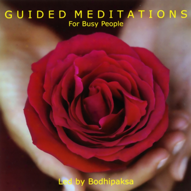 Guided Meditations For Busy People (unabridged)