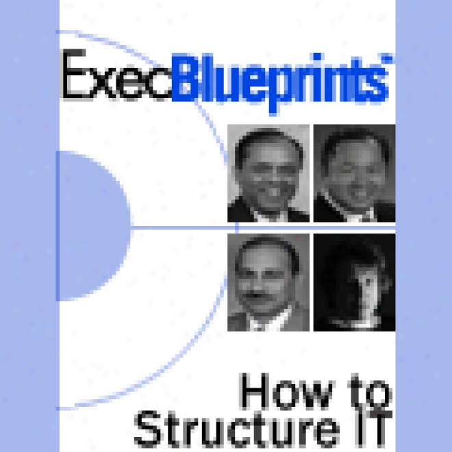 How To Structure It: Finding The Orderly Organizational Design: Execblueprint (unabridged)