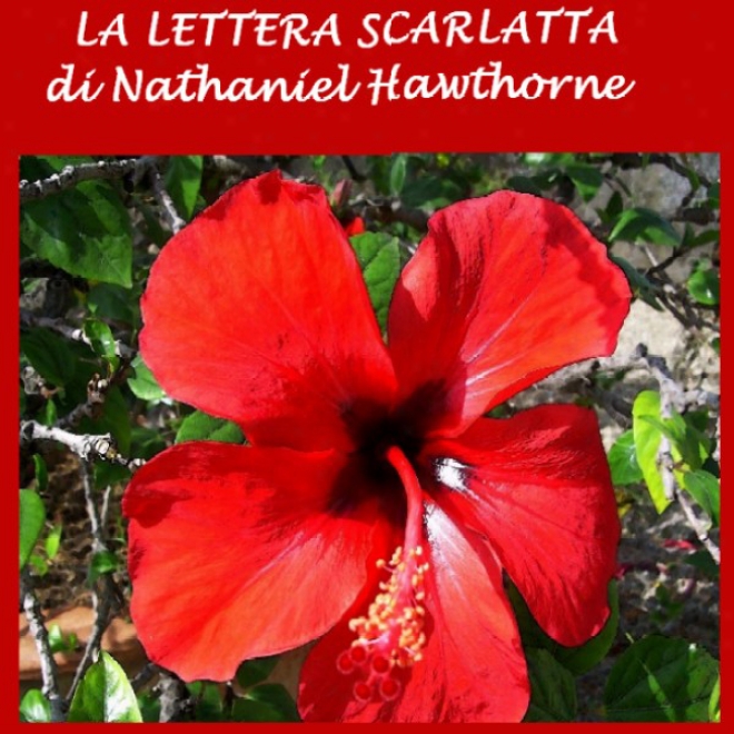 La Lettera Scarlatta [the Scarlet Letter]