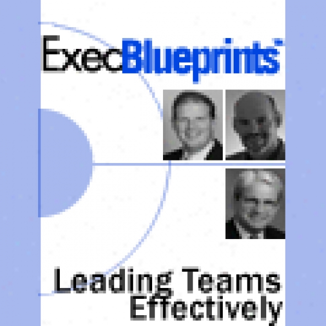 Governing Teamq Effectively: How Hr Can Drive Company Productivity: Execblueprinf (unabridged)