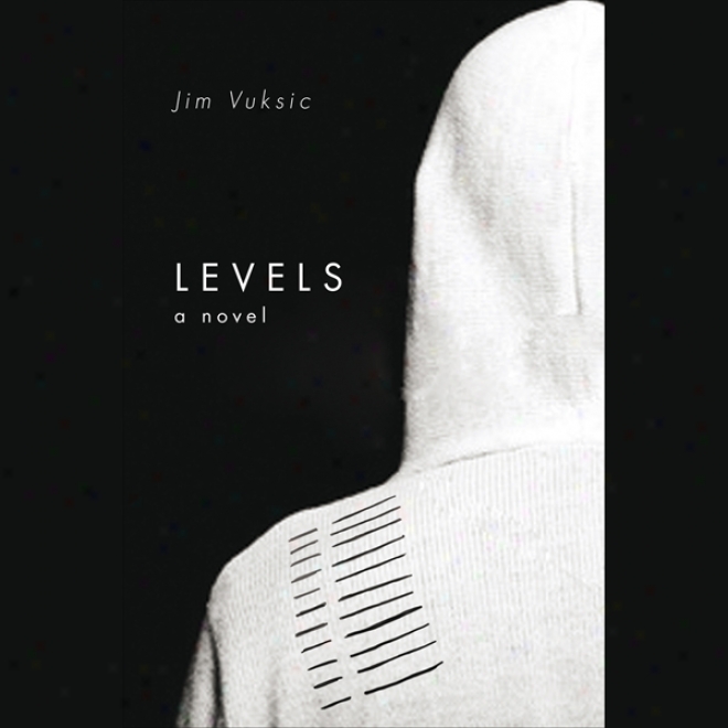 Levels: A Novel