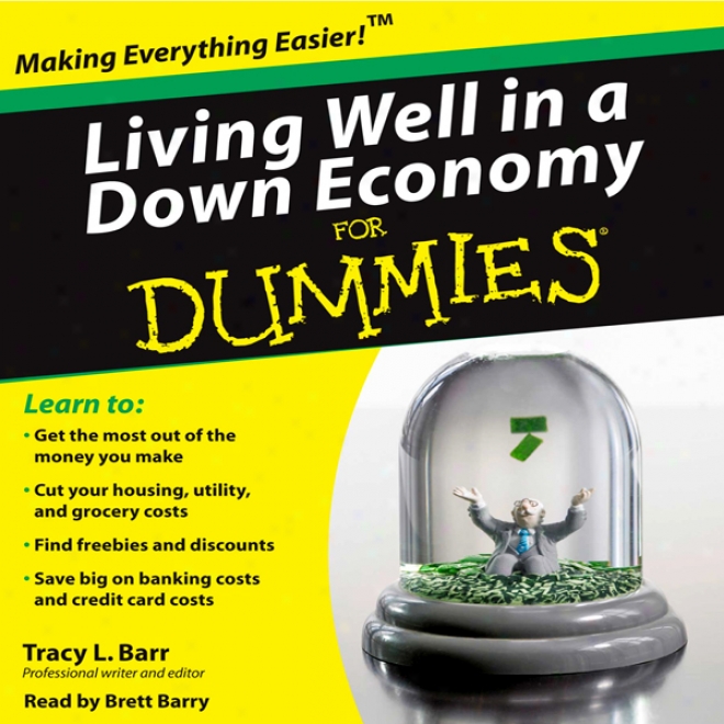 Living Well In A Down Economy For Dummies