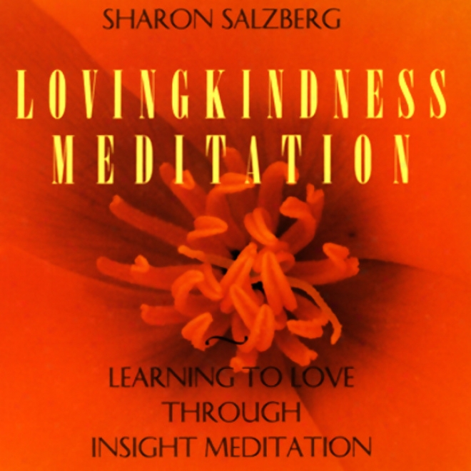 Lovingkindness M3ditation: Learning To Love Through Insight Meditation