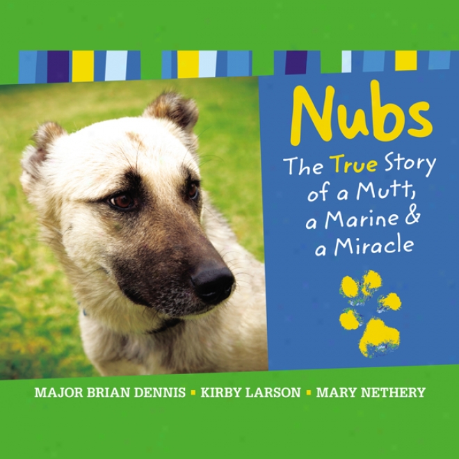 Nubs: The True Story Of A Mutt, A Marine & A Miracle (unabridged)