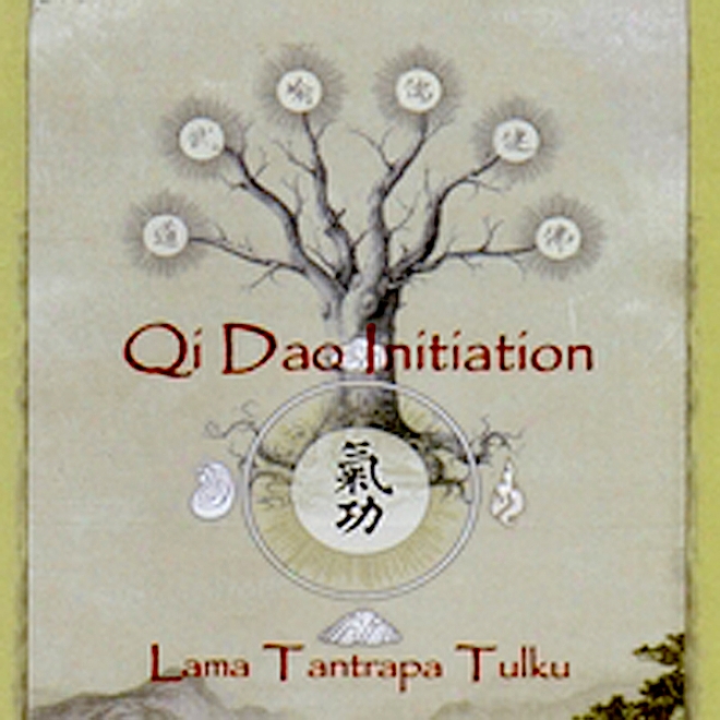 Qi Dao Initiation (unabridged)