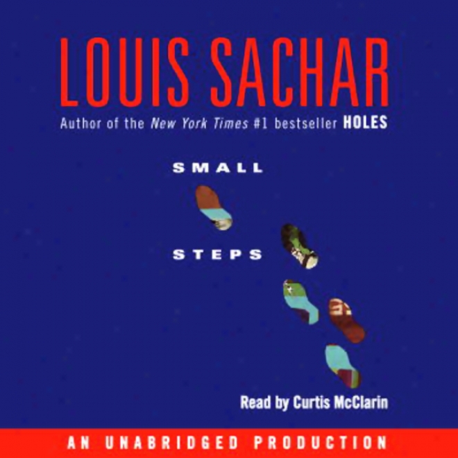 Small Steps (unabridged)