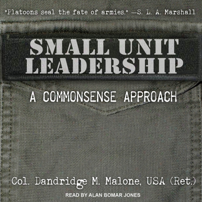 Small Unit Leacership: A Commonsense Approach (unabridged)