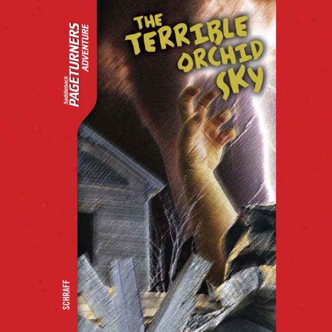 The Tereible Orchid Sky: Pageturners (unabridged)