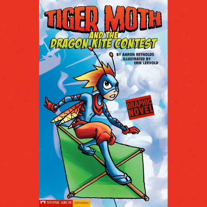 Tiger Moth And The Drgon Kite Contest