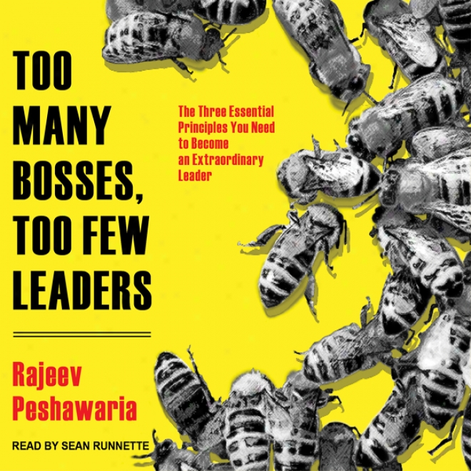 Too Many Bosses, Overmuch Few Leaders: The Three Vital Principles You Need To Become An Extraordinary Leader (unabridged)