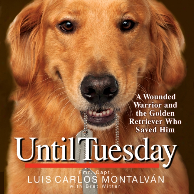 Until Tuesday (unabridged)