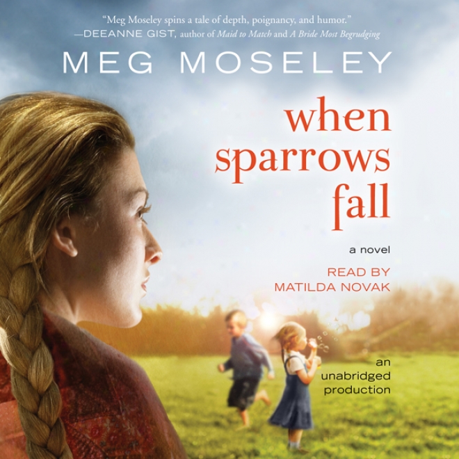 When Sparrows Fall: A Novel (unabridged)