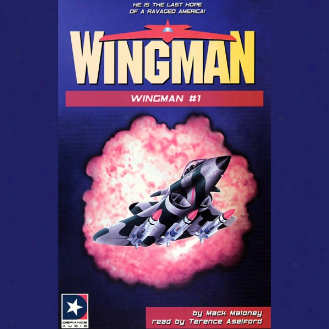 Wingman Collection I: Books 1-4