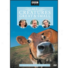 All Creatures Great And Little Series 4 Dvd