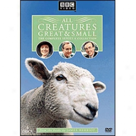 All Creatures Chief And Small Series 6 Dvd