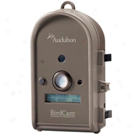 Audubon Birdcam