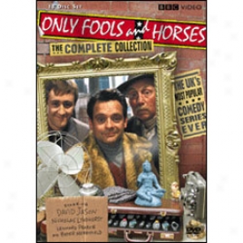 Only Fools And Horses Complete Collectuon Dvd