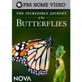 The Incredible Journey Of The Butterflies Dvd