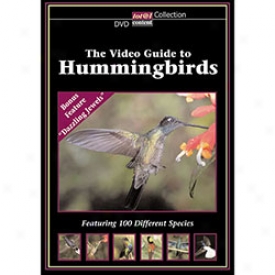 The Video Guie To Hummingbirds Dvd