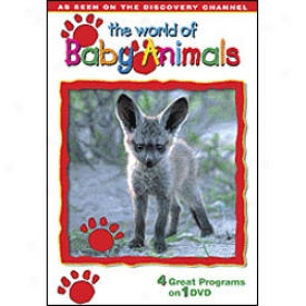 World Of Baby Animals Dvd