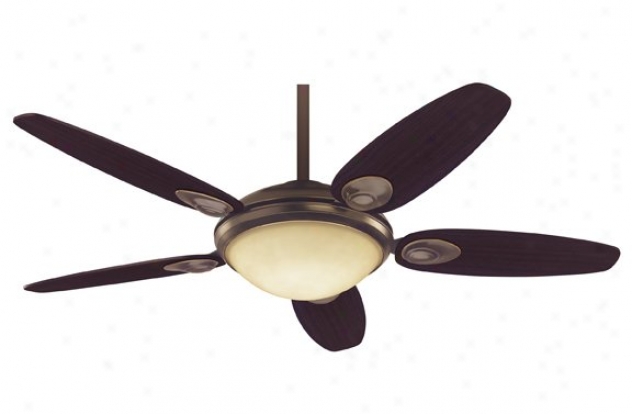 20494 - Hunter - 20494 > Ceiling Fans