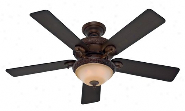 20551 - Hunter - 20551 > Ceiling Fans