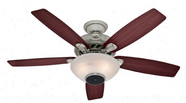 21629 - Hunter - 21629 > Ceiling Fans