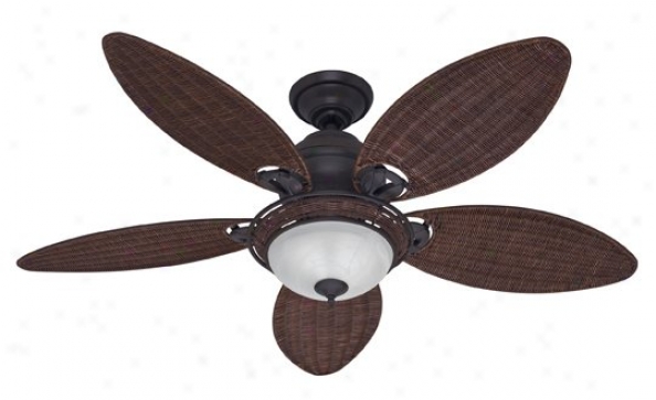 21647 - Hunter - 21647 > Ceiling Fans