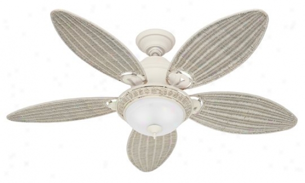 21648 - Hunter - 21648 > Ceilint Fans