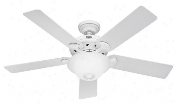 22390 - Hunter - 22390 > Ceiling Fans