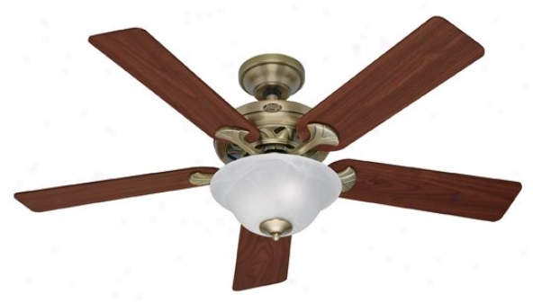 22455 - Hunter - 22455 > Ceiling Fans