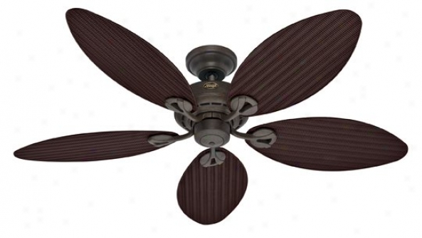 23980 - Hunter - 23980 > eCiling Fans