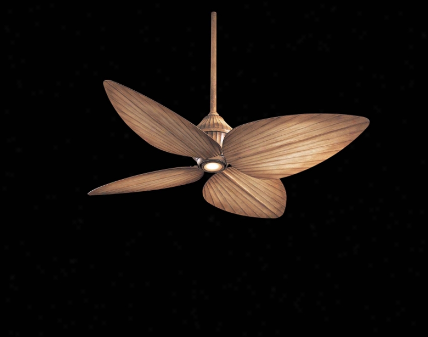 F581-bg - Minka Aire - F581-bg > Ceiling Fans