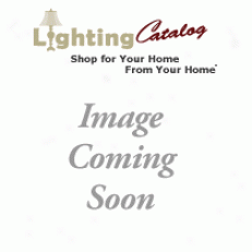 Pl8693-1l - Thomas Lighting - Pl8693-1l > Ceiling Lights