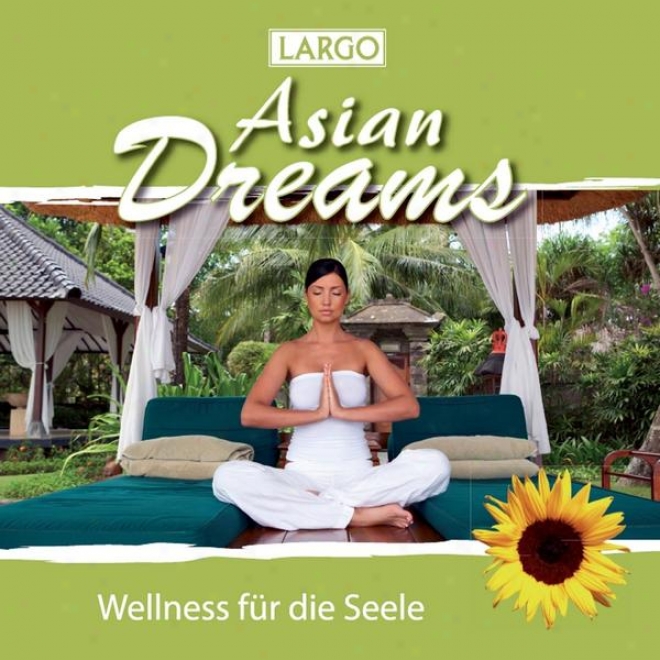 Asian Dreams - Entspannungsmusik Fr Tai Chi, Joga, Qi Gong Und Meditation (gema-frei)