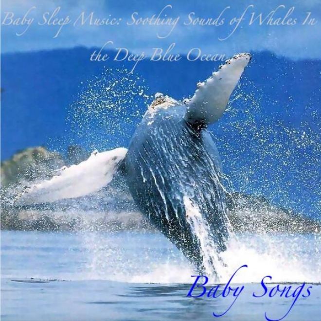 Baby Sleep Music: Soothing Sounds Of Whaies In The Deep Blue Ocean, On account of Sleep, Meditation And Yoga