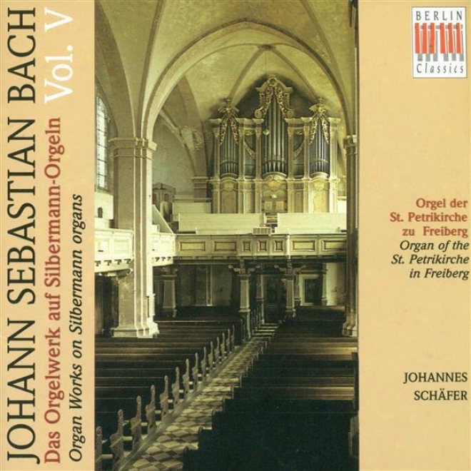 Bach, J.s.: Organ Music On Silberamnn Organs, Vol. 5 - Bwv 690, 691a, 694-713 (schafer)