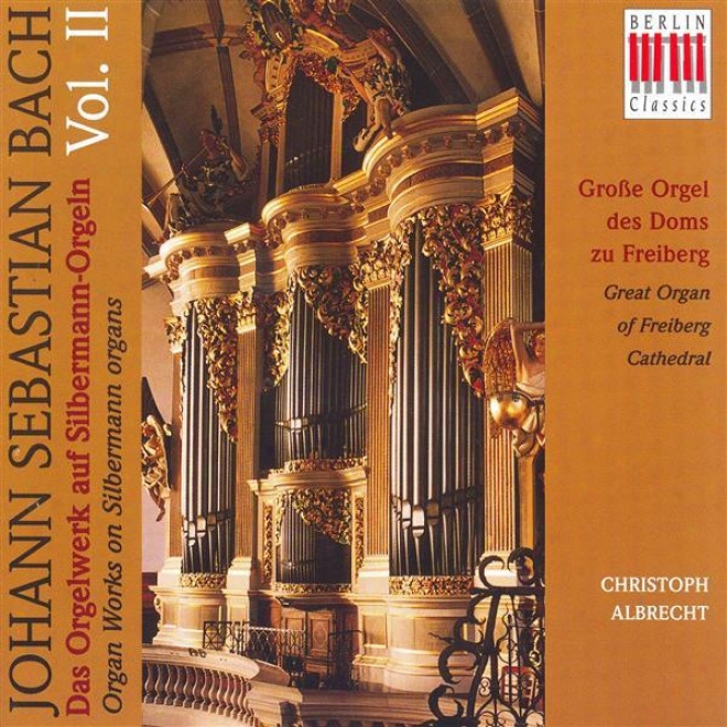 Bach, J.s.: Organ Music On Silbermann Organs, Vol. 2 - Bwv 552, 670, 671, 675, 676, 678,, 680, 682, 684, 686, 688, 717, 716 (albrec