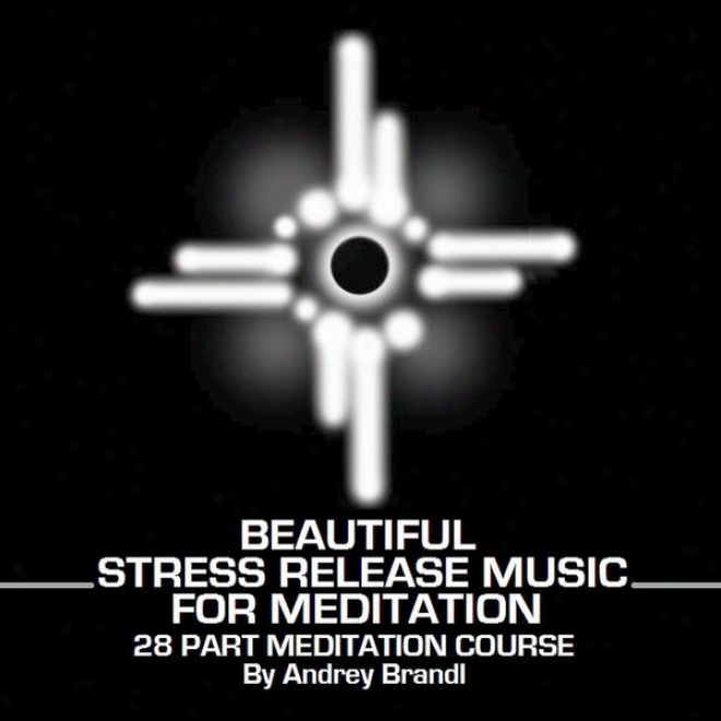 Handsome Stress Liberate Musix For Meditation 28 Part Meditation Course By Andrey Brandl