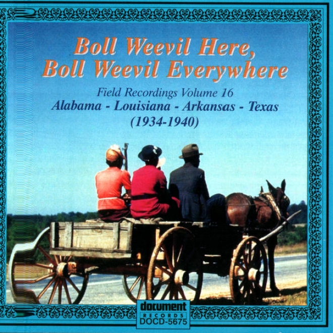 Boll Weevil Here, Boll Weevil Everywhere - Field Recordings Vol. 16 (1934-1940)