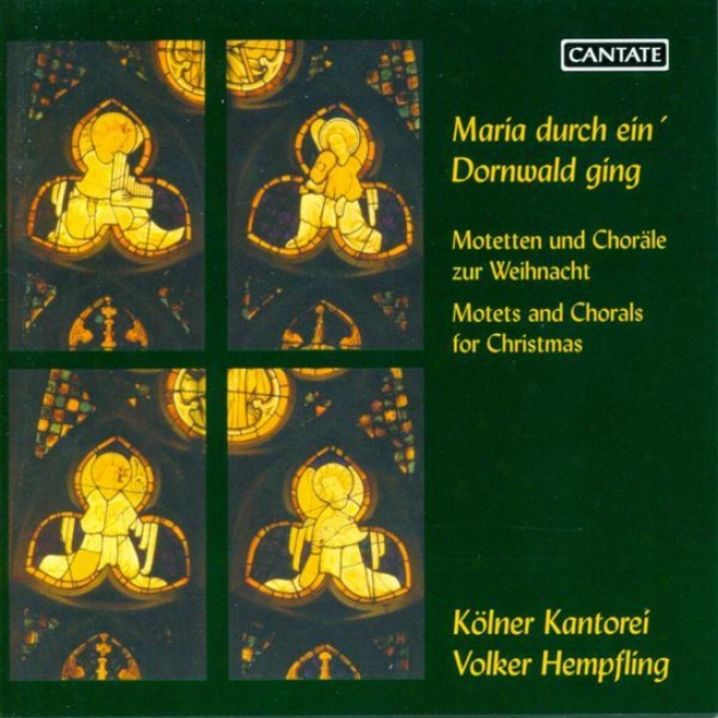 Choral Contrive: Cologne Kantorei - Schroeter, L. / Sweelinck, J.p. / Brahms, J. / Bruch, M. / Reger, M. (motets For Christmas)